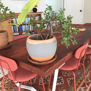 Free Breakfast At Seahorse , Agnes Water Australien